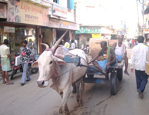 chennai shop rental